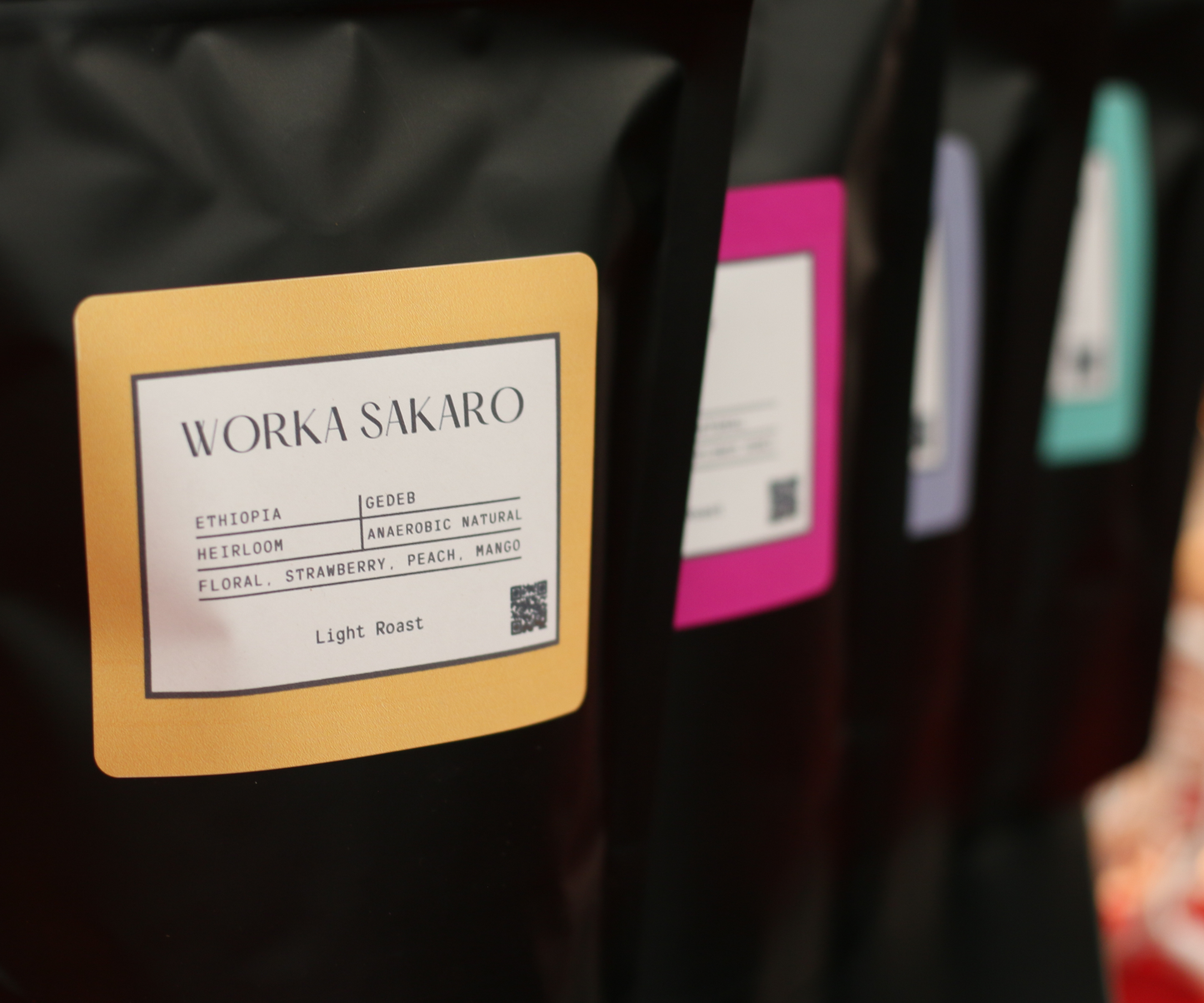 Single Origin Sampler | 4oz Coffee Packs